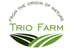 logo90
