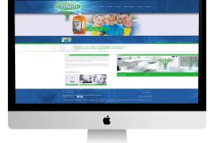 web-1