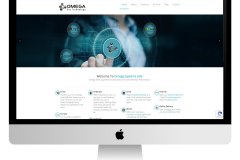 web-4